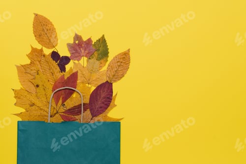 Preview: Autumn shopping with discounts. Autumn sales. Crafting beige paper shopping bag