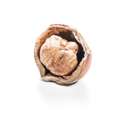Preview: Hazelnut in its shell showcases natural texture and earthy tones