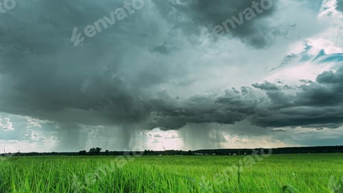 Preview: 4K Rain Rainy Clouds Above Countryside Rural Field Landscape With Young Green Wheat Sprouts In