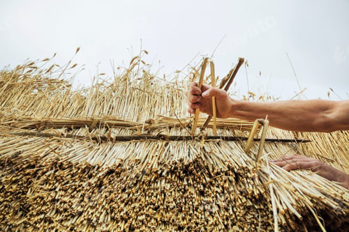 Preview: Man thatching a roof, inserting hazel wood spars to fasten the straw.