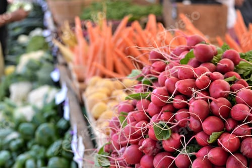 Preview: fresh farm grown vegetables at local farmers market