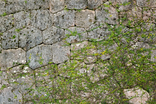 Preview: Stone wall texture