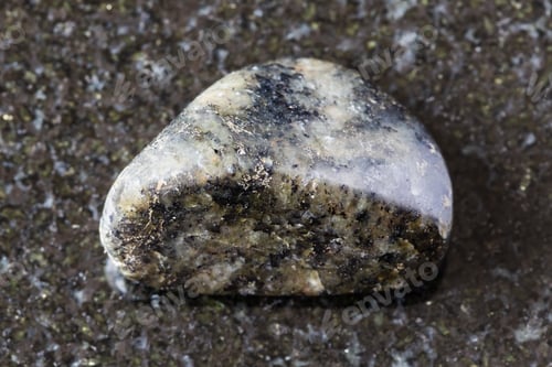 Preview: sample of tumbled diorite mineral on black granite