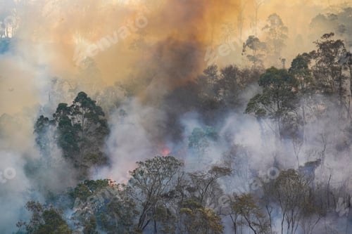 Preview: Forest fire disaster in Monte Alegre do Sul, Sao Paulo, Brazil. 8 September-2020