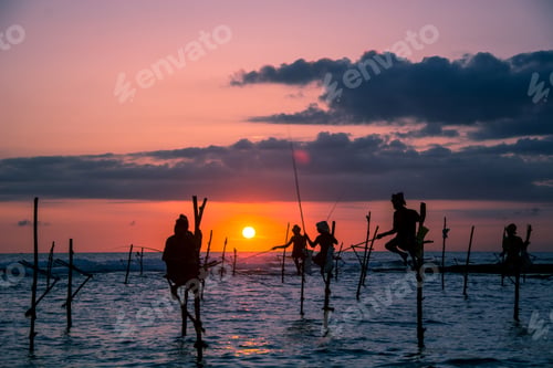 Preview: Traditional stilt fisherman in Sri Lanka