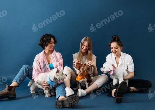 Preview: Three happy women sitting on a blue background with their cute dogs
