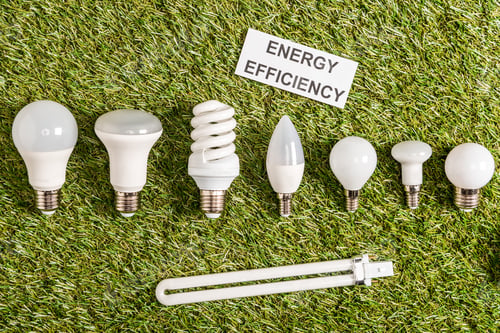 Preview: top view of modern fluorescent lamps near paper card with lettering on green grass, energy