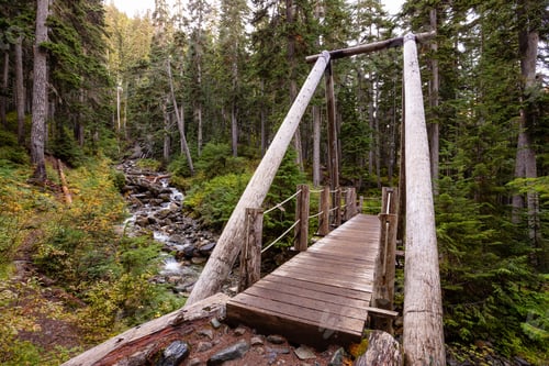 Preview: Scenic Bridge in the Forest