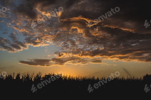 Preview: Beautiful landscape at orange sunset