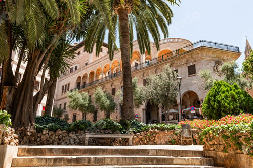 Preview: Historic building framed by lush palm trees.