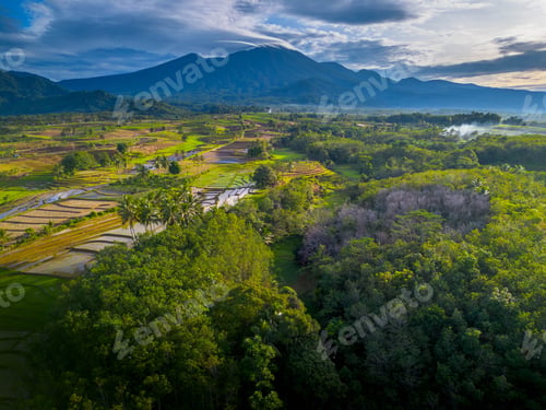 Preview: indonesia beauty landscape paddy fields in north bengkulu natural beautiful morning view from asia