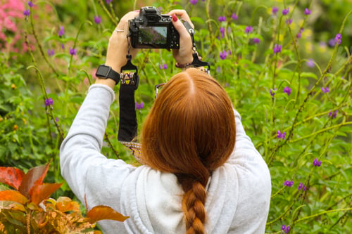 Preview: Young woman taking a photo in a beautiful garden