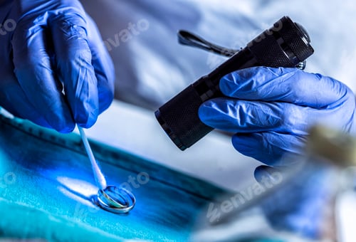 Preview: Crime technician examines rings from a crime scene with ultraviolet light in the laboratory,