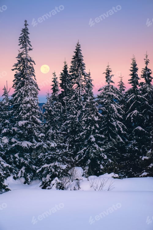 Preview: Winter landscape in Carpathians mountains with full moon light at sunset time, Ukraine