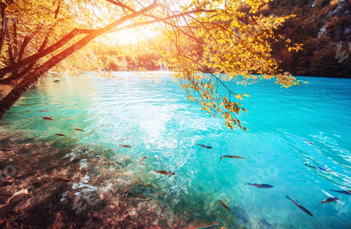 Preview: view of blue fish in the lake. Plitvice Lakes Nationa
