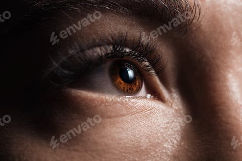 Preview: close up view of adult woman brown eye looking away in darkness