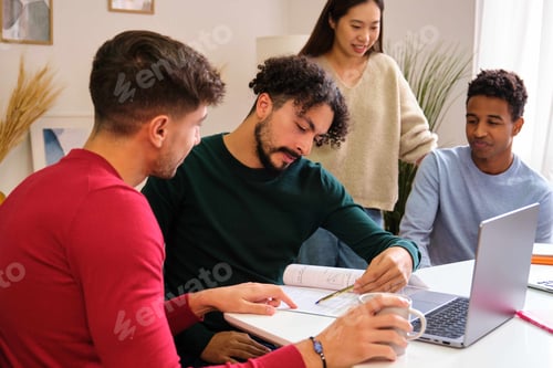 Preview: Group of diverse university colleagues studying together at shared flat.