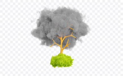 Preview: Forest Fire Smoke