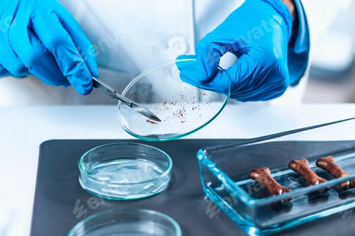 Preview: Sample Preparation of Dog Biscuit for Pet Food Quality Control in Laboratory