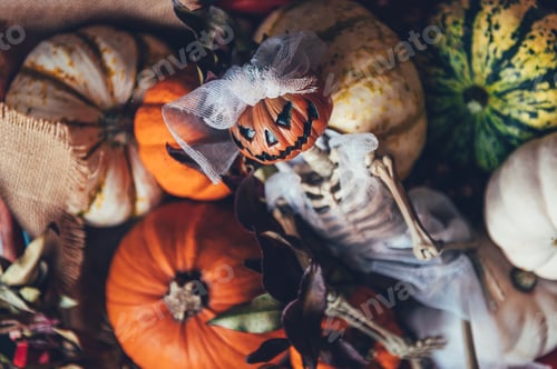 Preview: Pumpkins and skeleton pumpkin bride