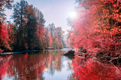 Preview: Autumn season changing red tree leaves reflecting on placid river.