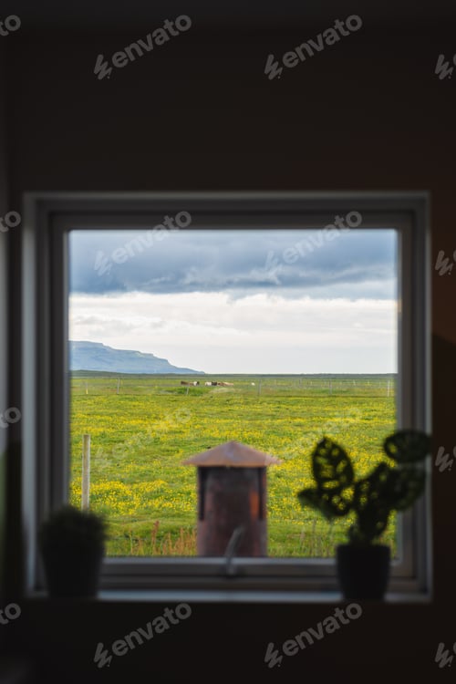 Preview: House window through horse in field on farmland