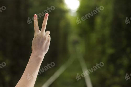 Preview: Hand with two fingers up in the peace or sign for symbol of peace or victory on natural background