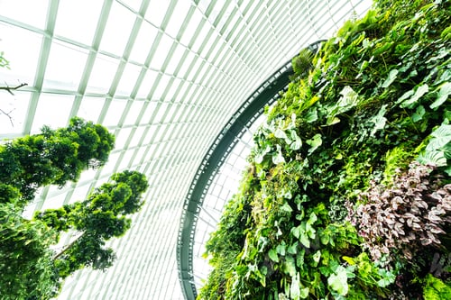 Preview: Beautiful architecture building flower dome garden and greenhous