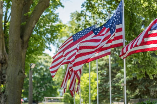 Preview: American flags waving outside in park