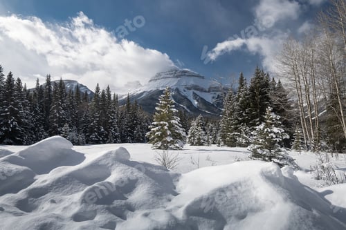 Preview: Beautiful landscape in Banff national park in Winter. Banff national park, Alberta, Canada