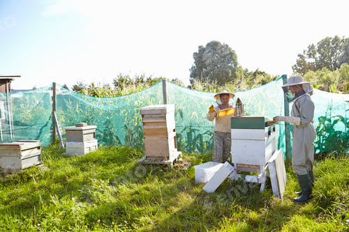 Preview: Two female beekeepers working on city allotment
