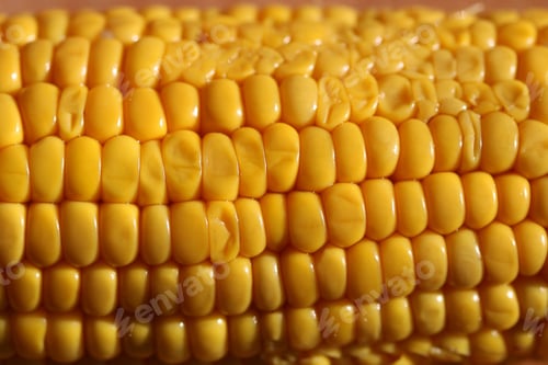 Preview: Close up corn
