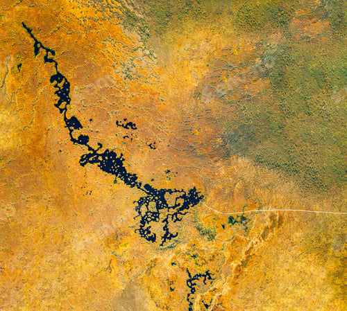 Preview: Miory District, Vitebsk Region, Belarus. The Yelnya Swamp. Upland And Transitional Bogs With