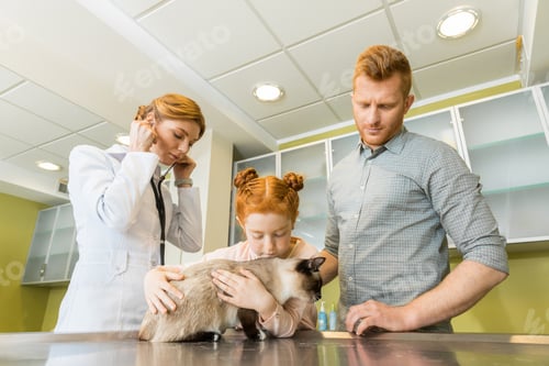 Preview: Man and his daughter at veterinary doctor with their pet- checking cat