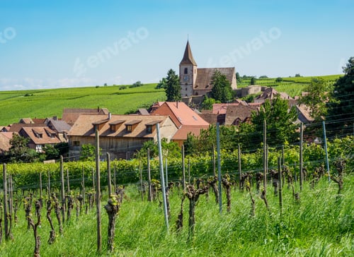 Preview: Hunawihr village and surrounding vineyards, Alsace, France