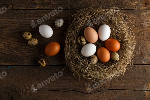 Preview: Chicken and quail eggs in a nest on a wooden rustic background