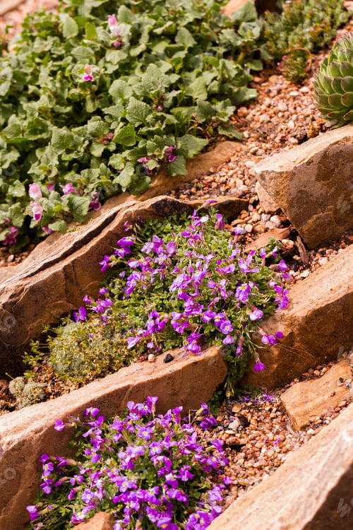 Preview: Spring flowers