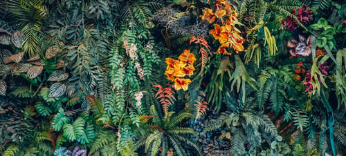 Preview: Close-up of a group of green leaves, providing a textured and abstract nature background.