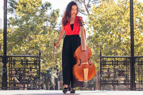 Preview: Female musician with her cello.