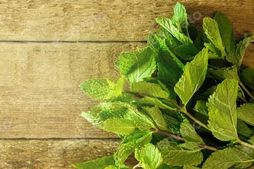 Preview: Bunch of fresh mint on wooden table