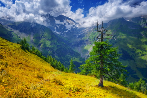 Preview: Alps
