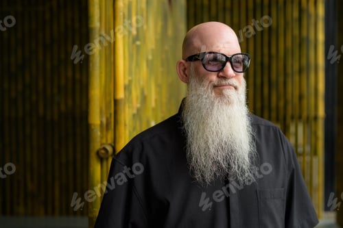 Preview: Portrait of man bald man with long gray beard wearing sunglasses and thinking outdoors against