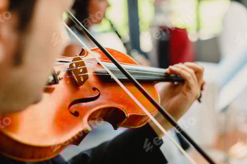 Preview: Back view of a violinist performing a piece with his violin, unfocused background