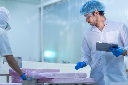 Preview: A food processing supervisor in protective gear inspecting packaging materials