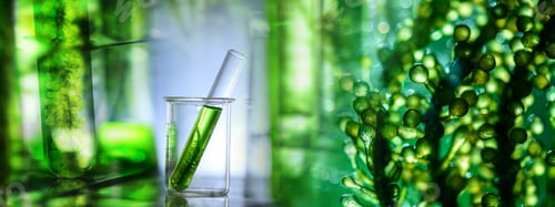 Preview: Photobioreactor in medical science laboratory algae fuel biofuel industry, nature algal research
