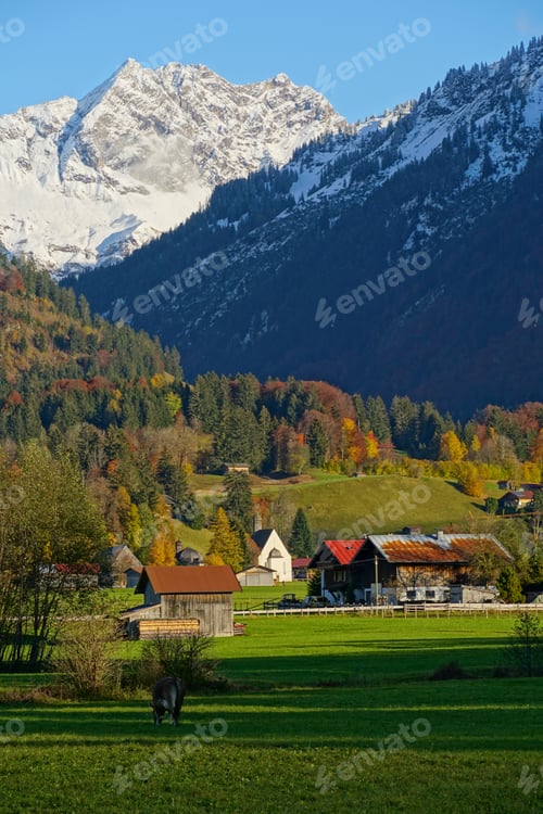 Preview: Vertical shot of pastures and Alps in Oberstdorf Germany