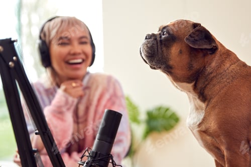 Preview: Woman With Pet French Bulldog Recording Podcast Or Broadcasting On Radio In Studio At Home