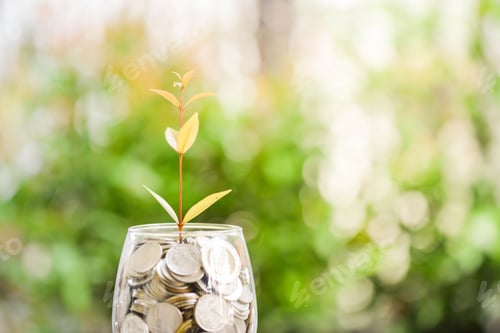 Preview: Plant Sprouting from Glass Jar Full of Coins