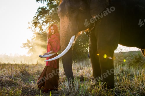 Preview: Elephant and woman in Thailand