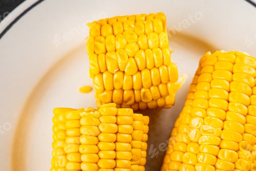 Preview: Corn cob food boiled snack vegetable fresh tasty gourmet food background food